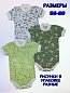 "�����" ���� � �������� ������� �� �������� "�����" ��0031